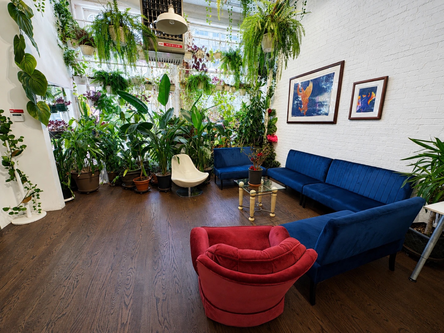 Plant-lined hallway with sheer curtains